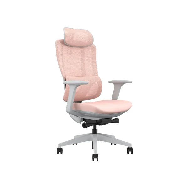 WORKSELECTED Model-N3 – เก้าอี้สุขภาพสำหรับผู้หญิงลุค Smart พอดีตัว ดูดีทุกวัน